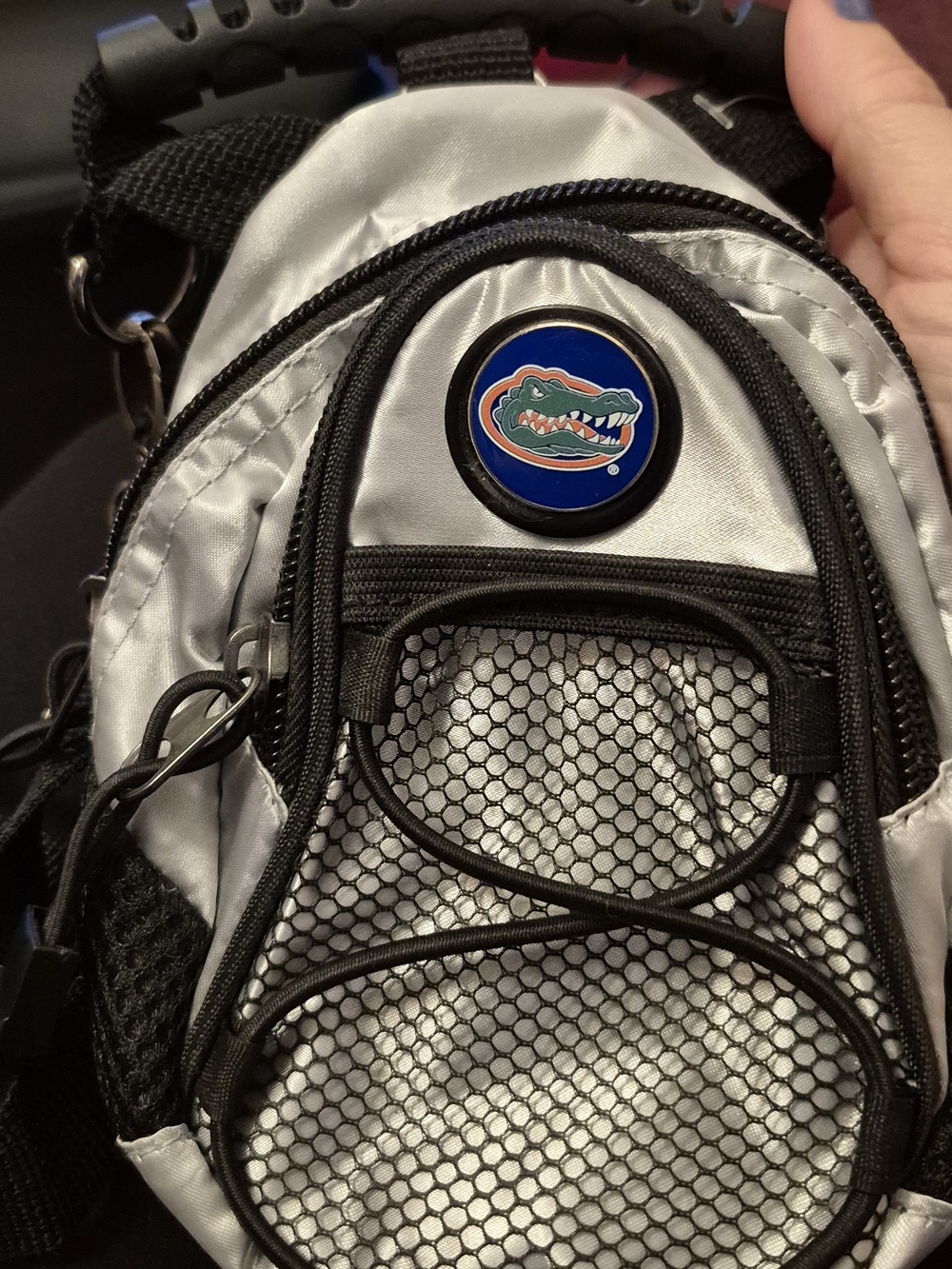 Florida Gators Silver and Black Mini Golf Tee and Balls Golf Mini Bag